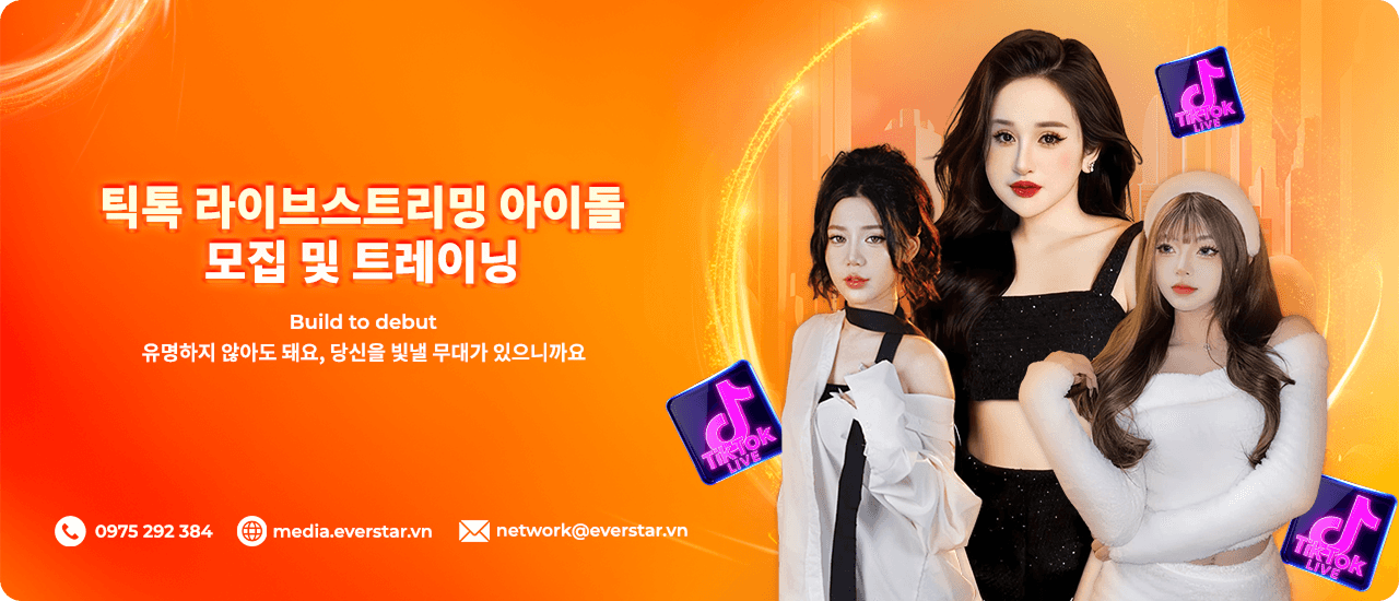 Everstar media